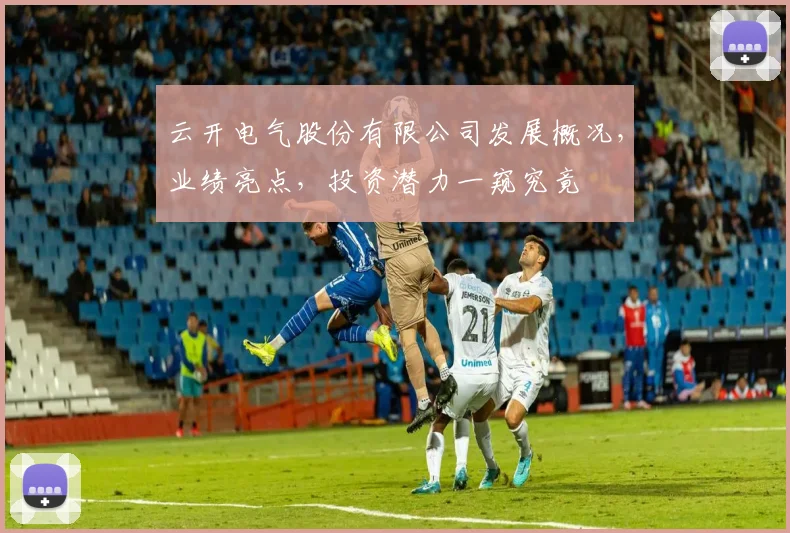 云开电气股份有限公司发展概况，业绩亮点，投资潜力一窥究竟