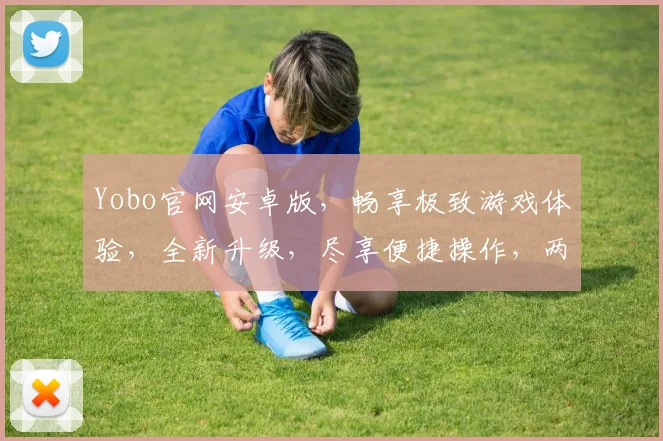 Yobo官网安卓版，畅享极致游戏体验，全新升级，尽享便捷操作，两大亮点不容错过