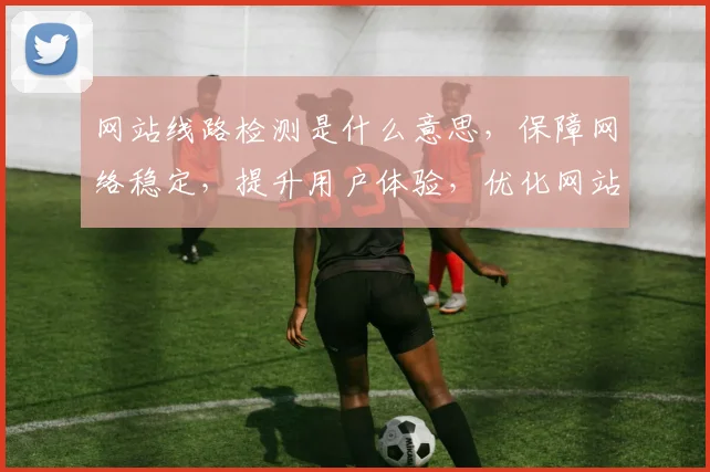 网站线路检测是什么意思，保障网络稳定，提升用户体验，优化网站性能，三步到位。