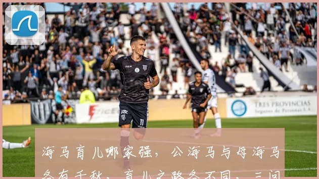 海马育儿哪家强，公海马与母海马各有千秋，育儿之路各不同，三问谁更胜一筹