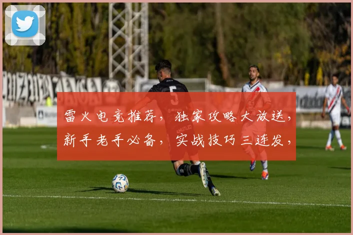 雷火电竞推荐，独家攻略大放送，新手老手必备，实战技巧三连发，一网打尽