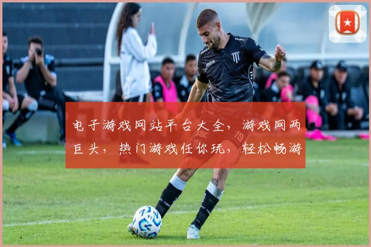 电子游戏网站平台大全，游戏网两巨头，热门游戏任你玩，轻松畅游虚拟世界