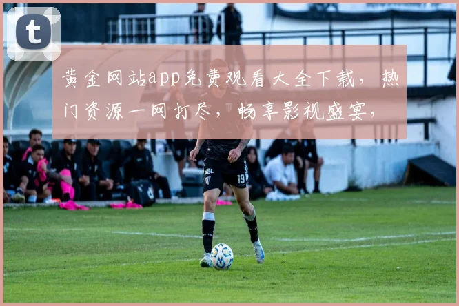 黄金网站app免费观看大全下载，热门资源一网打尽，畅享影视盛宴，不容错过